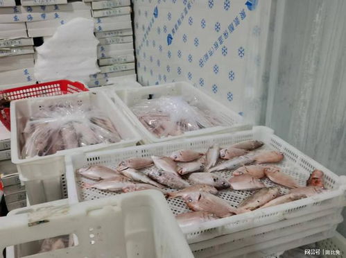 捕撈養(yǎng)殖輸送原料資源,電商批發(fā)打通銷售脈絡(luò)